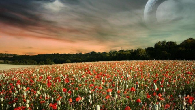 如何评价高圆圆的身材算是美女类型的吗？